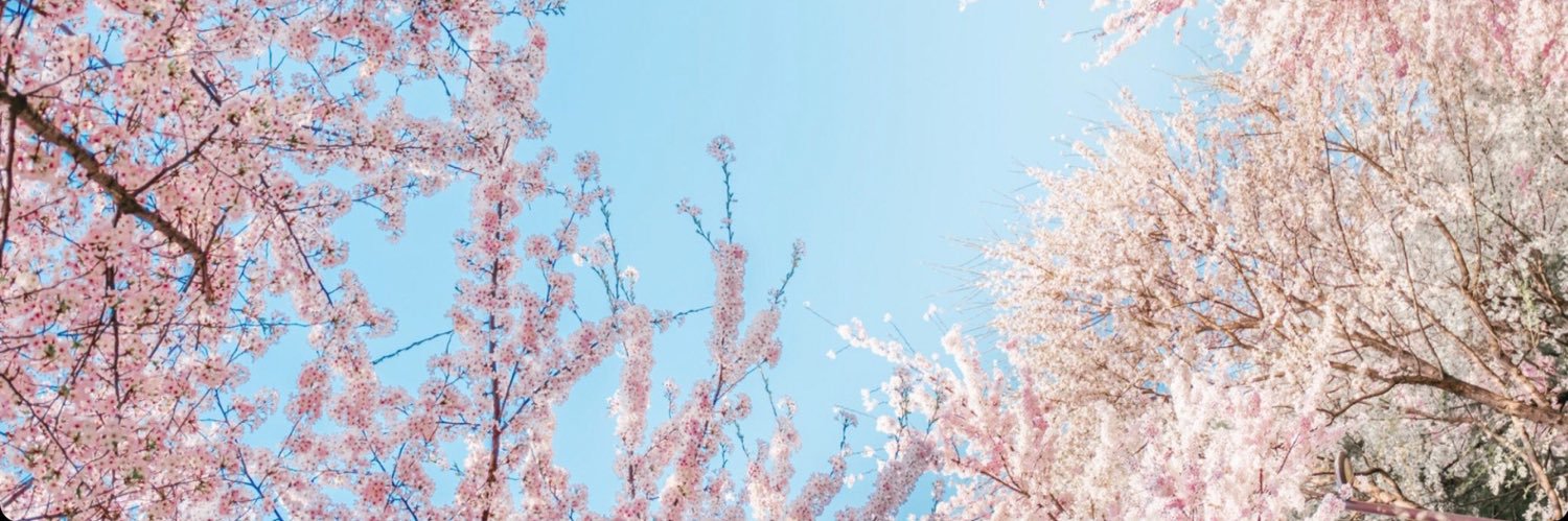 𝐀𝐢𝐫𝐢𝐧's banner