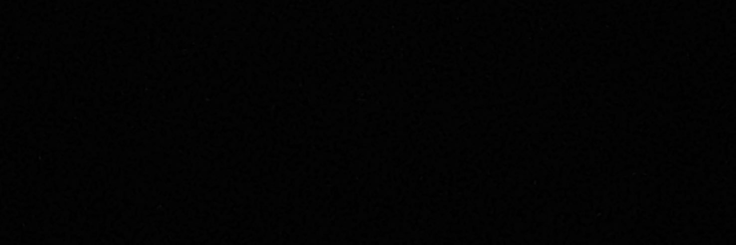 Prinzly's banner