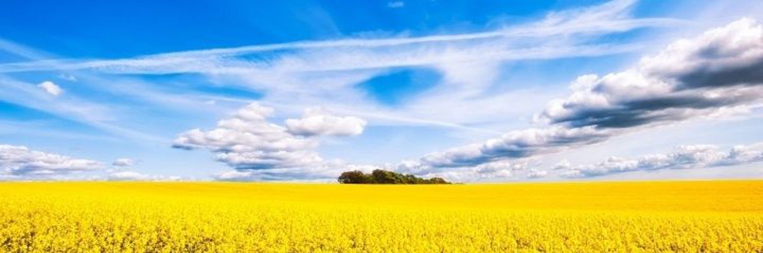 Татьяна's banner