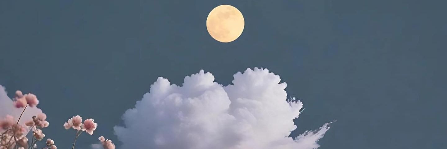 فاطمه جوان's banner