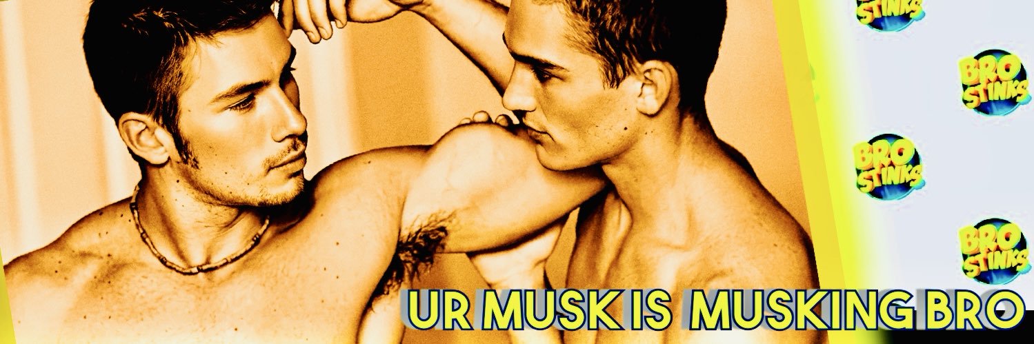 BRO STINKS's banner