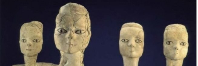 هاشم العامر's banner