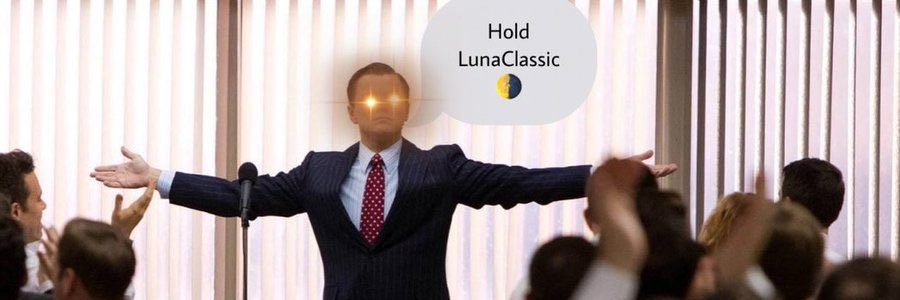 Hailey LUNC XRP's banner