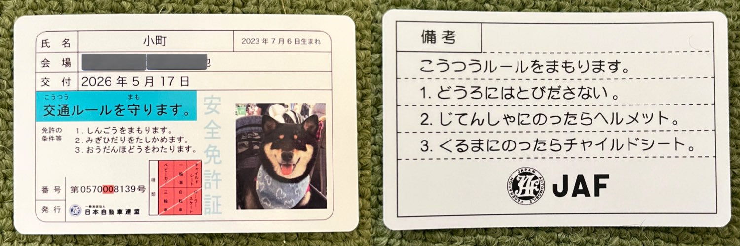 小町　黒柴日記's banner
