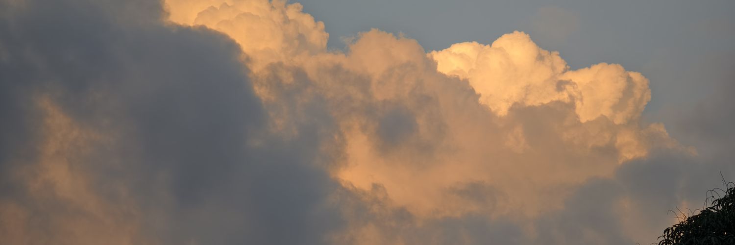 奈何's banner