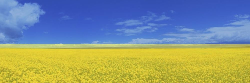 Glory to Ukraine's banner