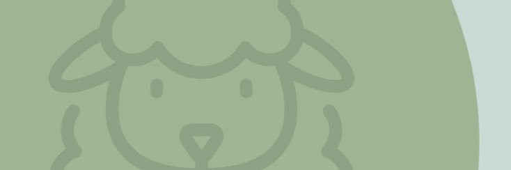 ANEAM | أنعام's banner