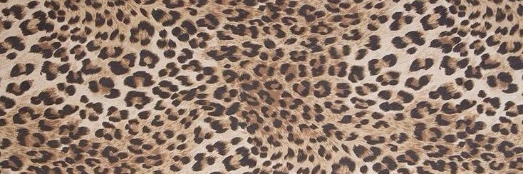 S౨ৎ's banner