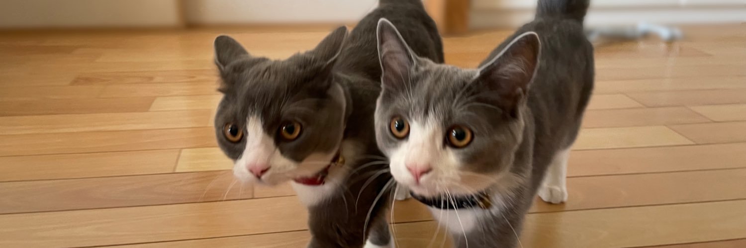 わがやのねこ's banner