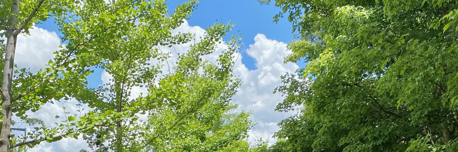 *Dreams0ng!'s banner