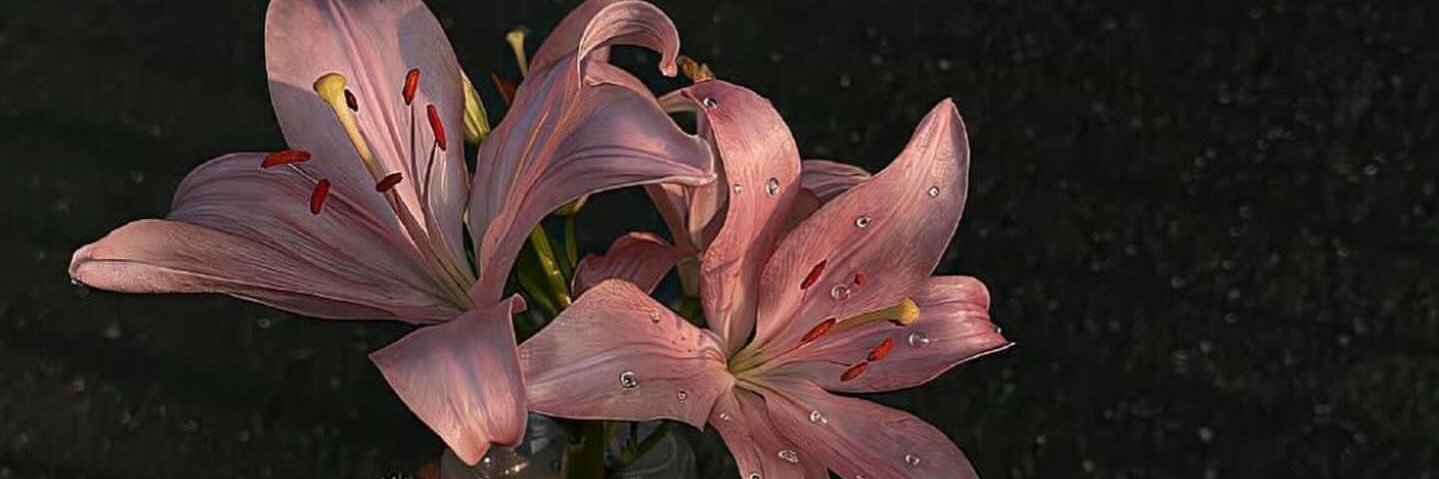 p's banner