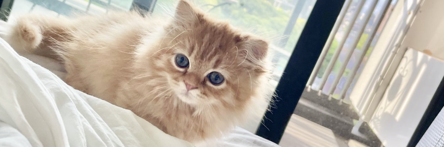うなねこです。's banner