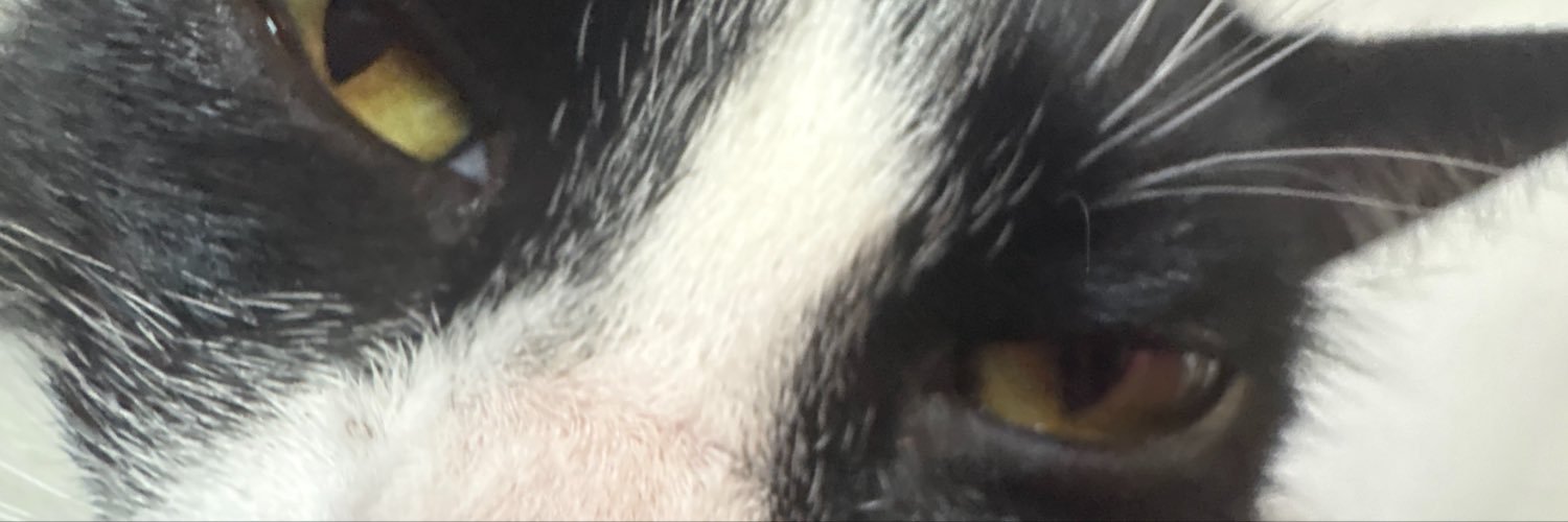 lulyfpps's banner