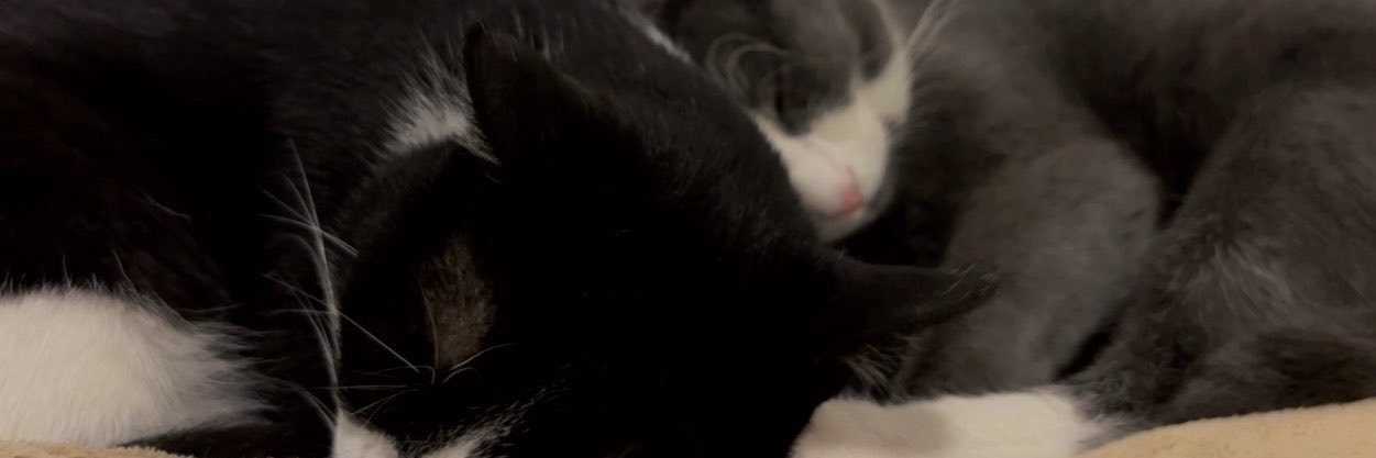 Lulyfpps's banner