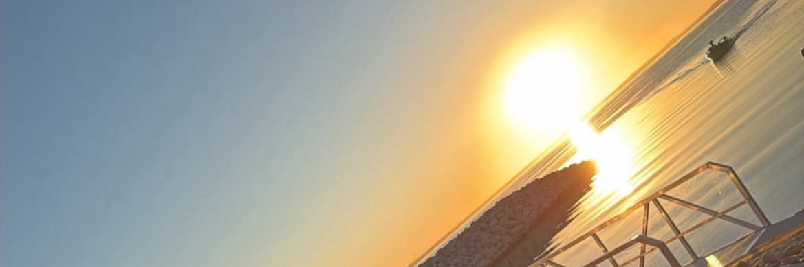 Donna's banner