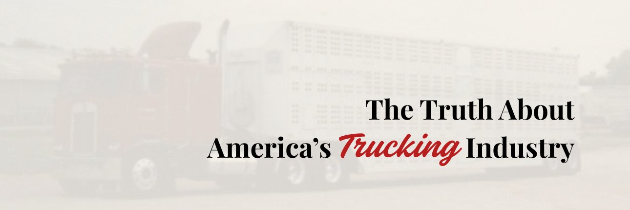 maybe danielle 💻🚛🇺🇸's banner