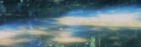 ponds! ☆'s banner