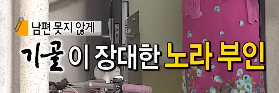 노라's banner