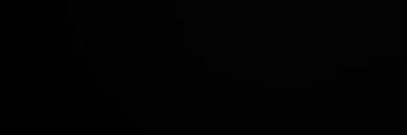 Doki's banner