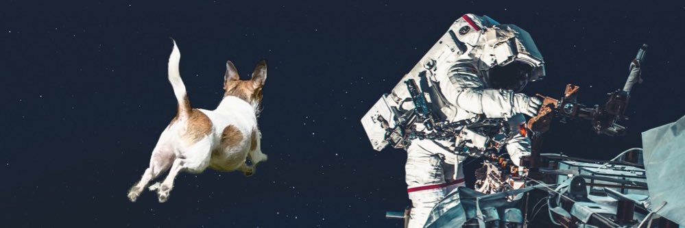 Laura Ellis's banner