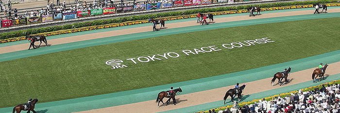 日刊競馬【公式】's banner