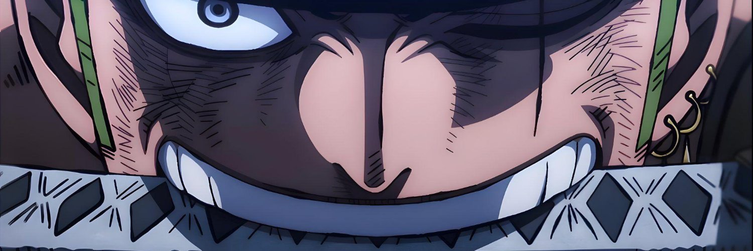 R.Zoro's banner