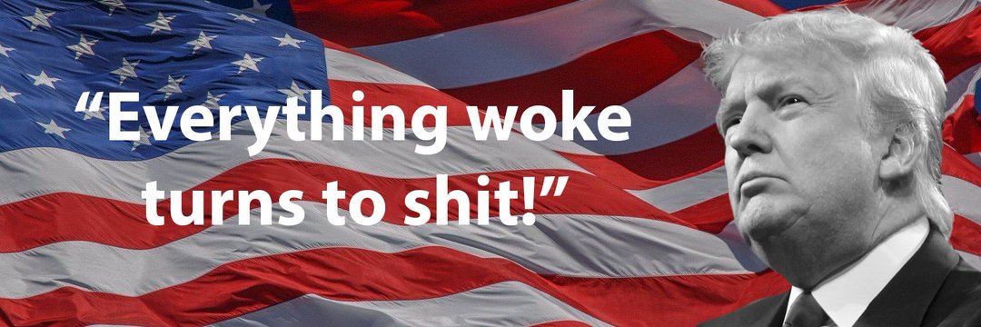 Bruce ████ 🇺🇲's banner