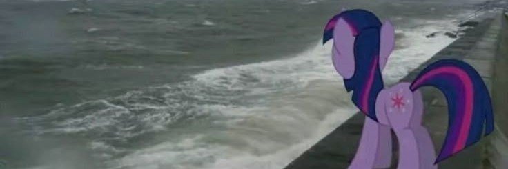 esyy's banner