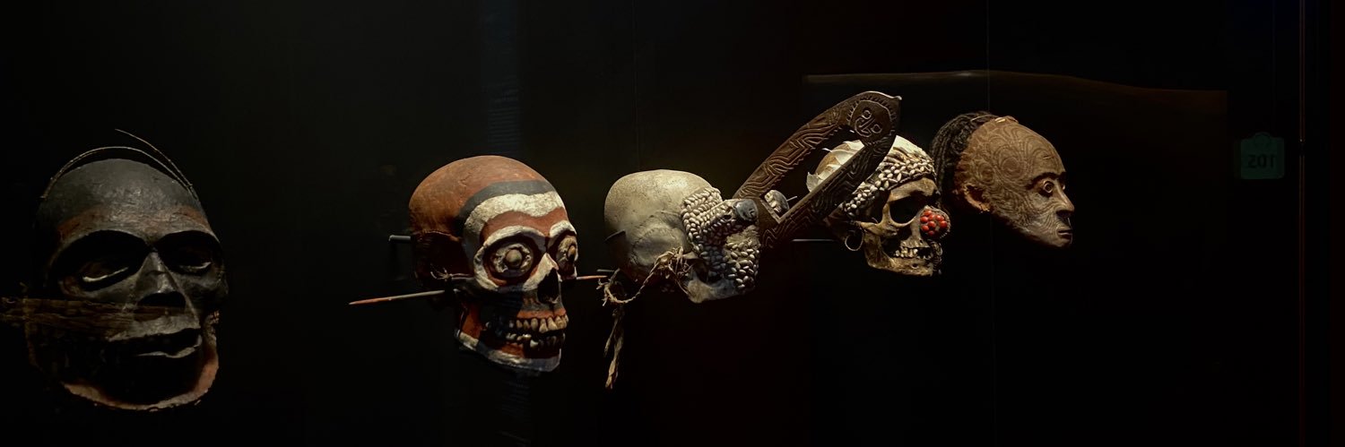 Karashika🦇's banner
