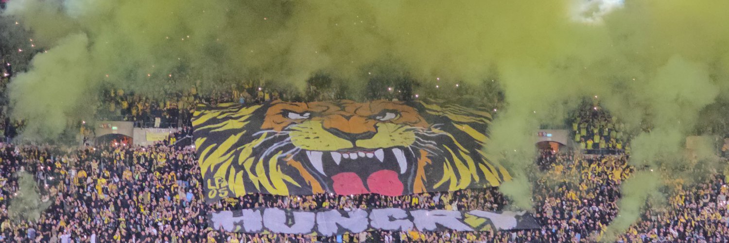 Aviad's banner