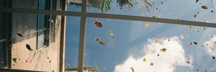 ₑ𝚌𝓱ₒ♪⭑. ִֶָ⁷.'s banner