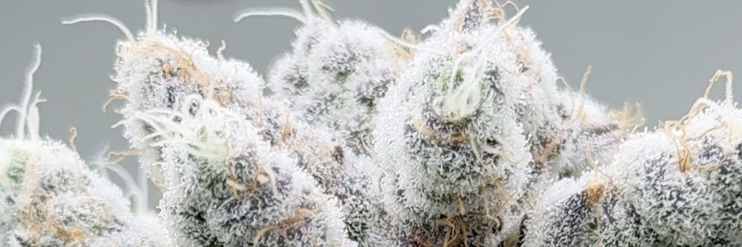 BeLeaf Cannabis's banner