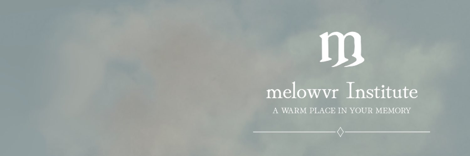 Lize / melowvr Institute's banner