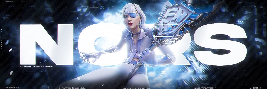 nors's banner