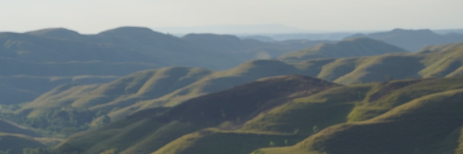 mazjojo's banner