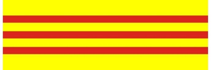 Kaya Nguyen's banner