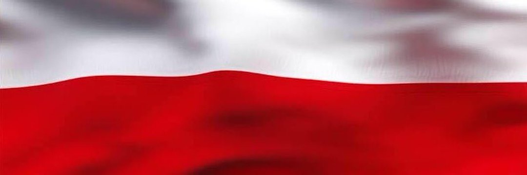Dum Spiro 🇵🇱's banner