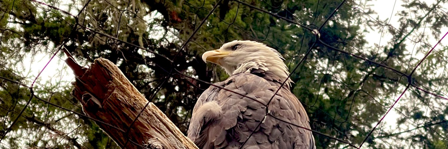 Lady Patriot Ashley's banner