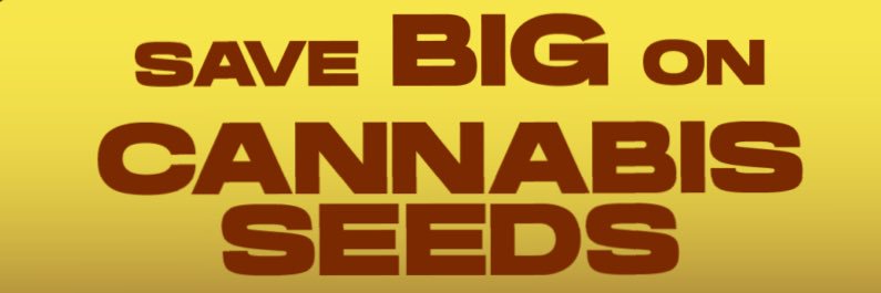BrothersGrimmSeeds's banner