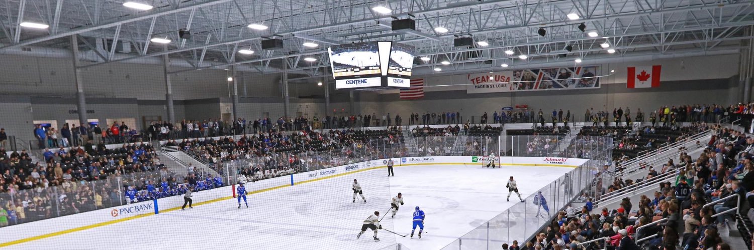 Lindenwood Hockey's banner