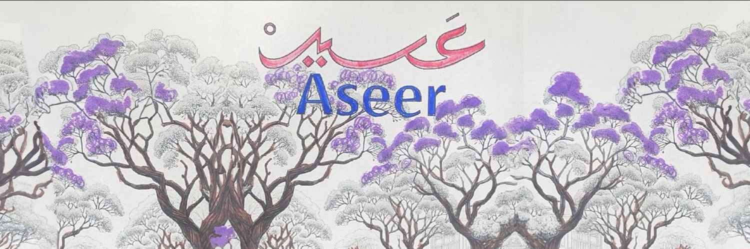 إمارة منطقة عسير's banner