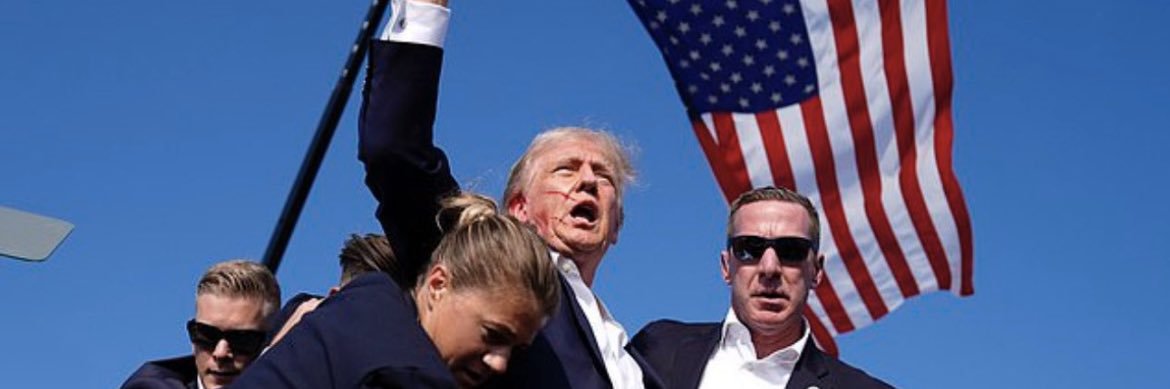 Robin R Reichman🇺🇸's banner