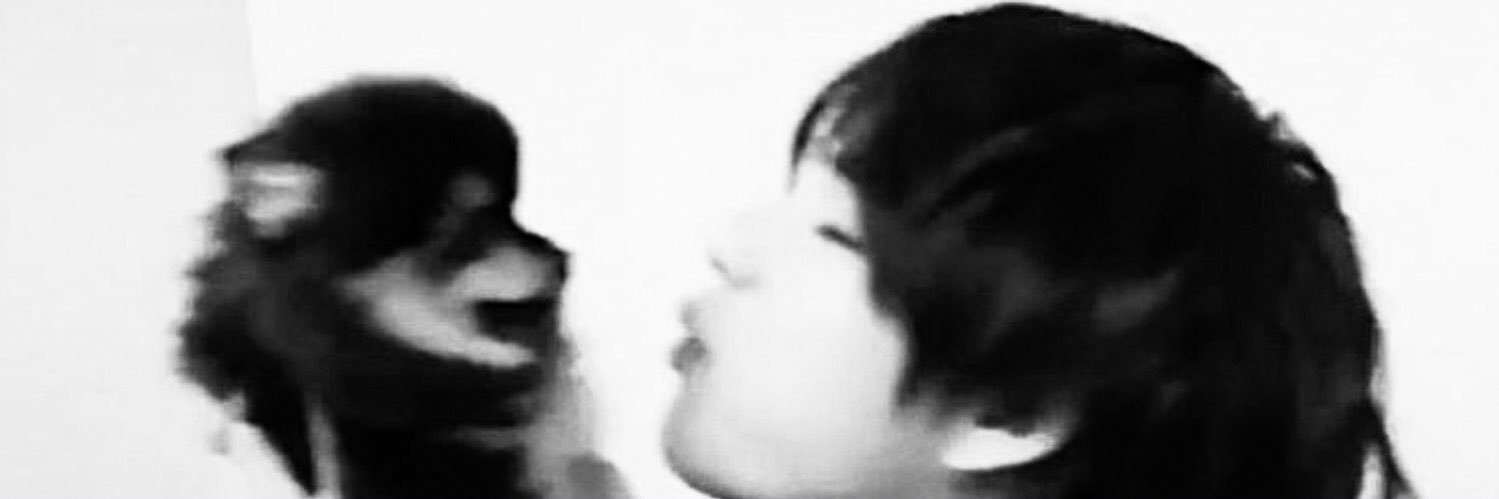 𓃦ִ's banner