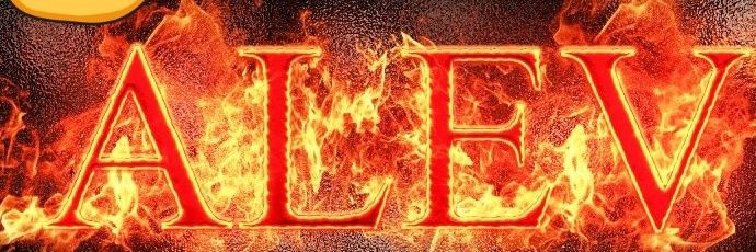 🔥ALEV's banner
