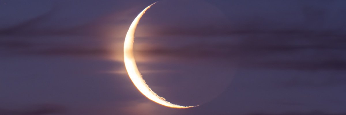 LittleLune🌙's banner