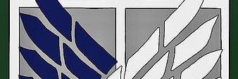 QuestionSael's banner