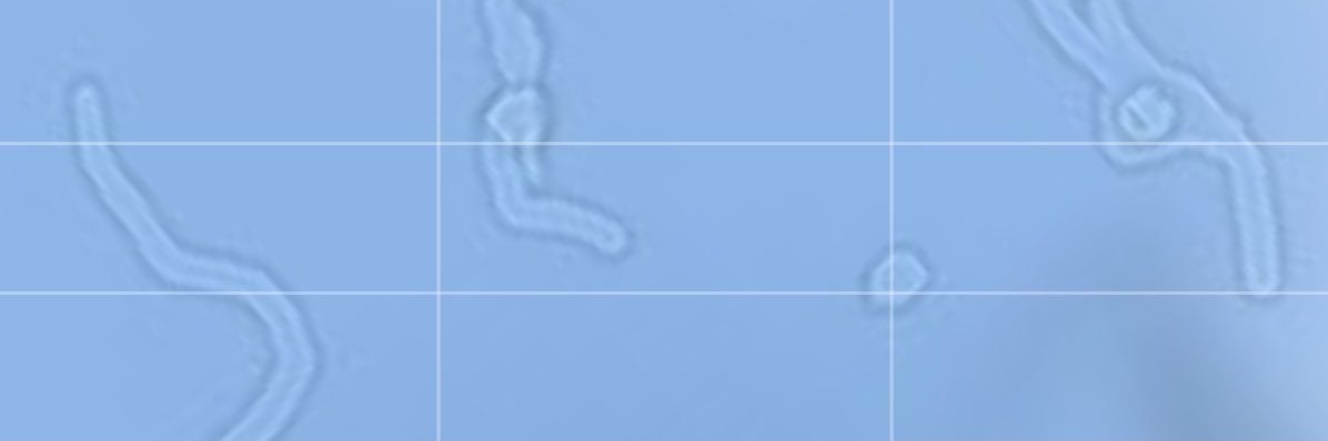 三重水素's banner