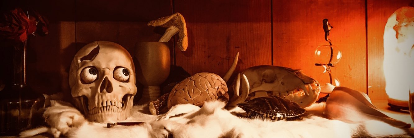 ᚾᛟᛋᚻ ᛗᚢᛚᛚᛖᚱ 🪶 🕊 🆗's banner