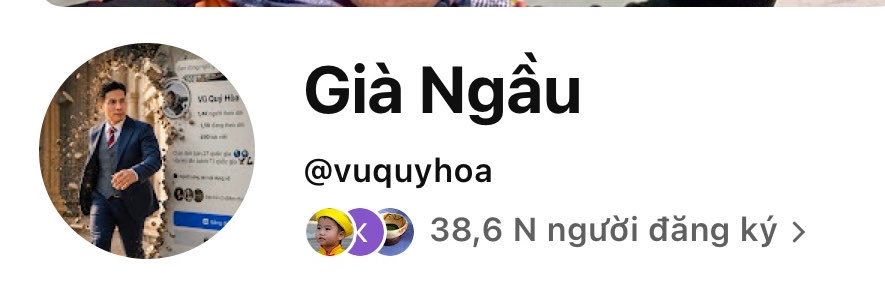 Vũ Quý Hoà's banner