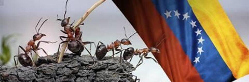 #VenezuelaLibre's banner